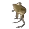 CaminoSS emote