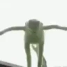 KermitJump emote
