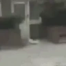 KermitAscend emote