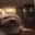 Peepo