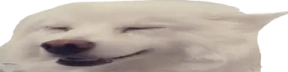 widegoggaHappy emote