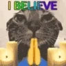 WetCatIBelieveManifestingW emote