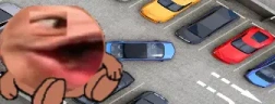 ParkMan emote