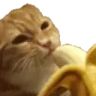 Cateatinbananahehappy emote