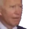 BidenJAM emote