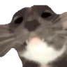 AREYOUAGIRL emote