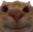 SmileStare