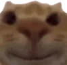 SmileStare emote