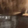 monkeySpin emote