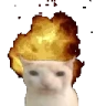 catBoom emote