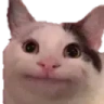 smug emote