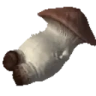 mushroomPls emote