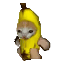 Bananacatrun