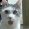 PogU emote