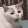 einMuedi emote