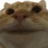 yepping emote