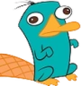 PerryGrr emote