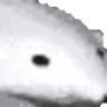 polarExtreme emote
