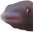 MMMM