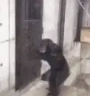 monkeDoor emote