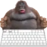 monkeChat emote
