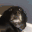 monkaDog