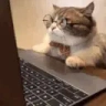 Parasocial emote