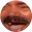 KEKWSPIN