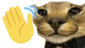 floppaWave emote