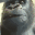 monkeWait