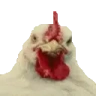 chickenJam emote