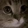 mreow emote