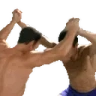 Fight emote