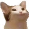 PauseCat emote