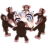 VeiMyQueen emote