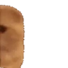 CatPeek emote