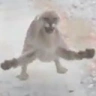 AtakeLoli emote