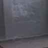 catArrive emote