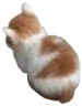 smol emote