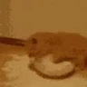 NOOOMYMILJ emote