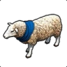 Sheep emote