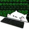 HACKERCAT emote