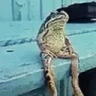 Chillin emote