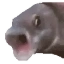 OOOO