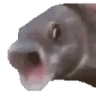OOOO emote