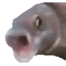 PogFish emote