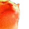 HYPERCATJAM emote