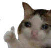 SadCatThumbsUp emote