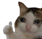 SadCatThumbsUp Twitch emote
