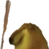 BONK emote